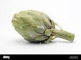 Alcachofa, cruda